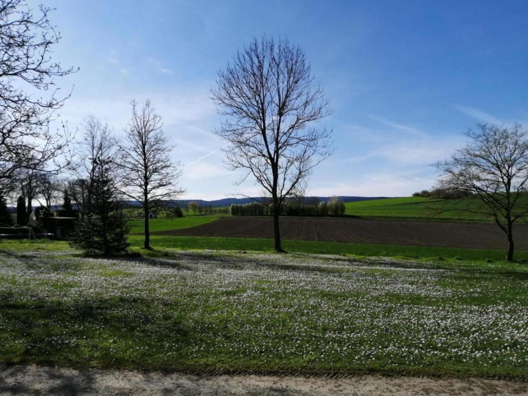 Beautiful Apartment In Morscheid Riedenburg Morbach Exterior foto